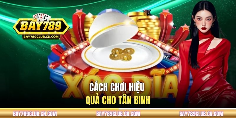 Cách chơi hiệu quả cho hội viên mới