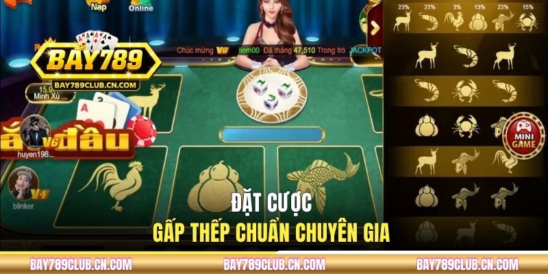 Đặt cược gấp thếp chuẩn chuyên gia